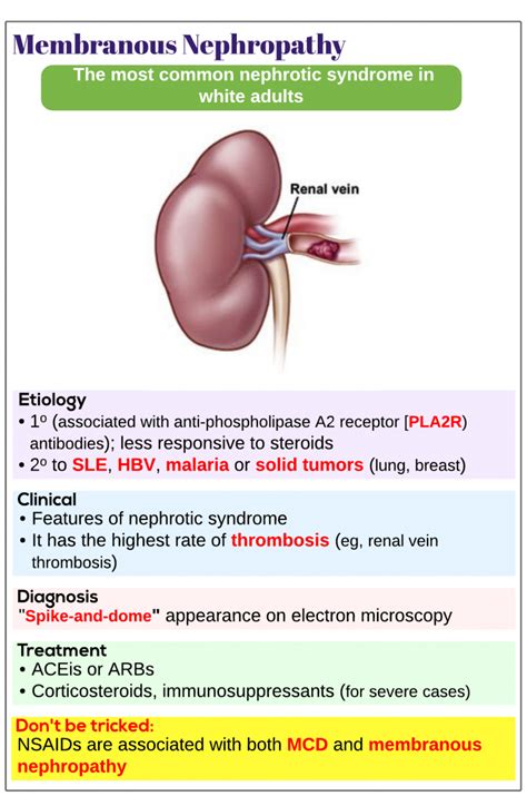 membranous nephropathy vs fsgs.